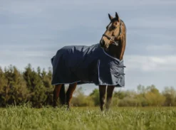 RIDING WORLD Eco 600D Decke