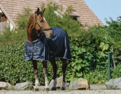 RIDING WORLD Eco 600D Decke