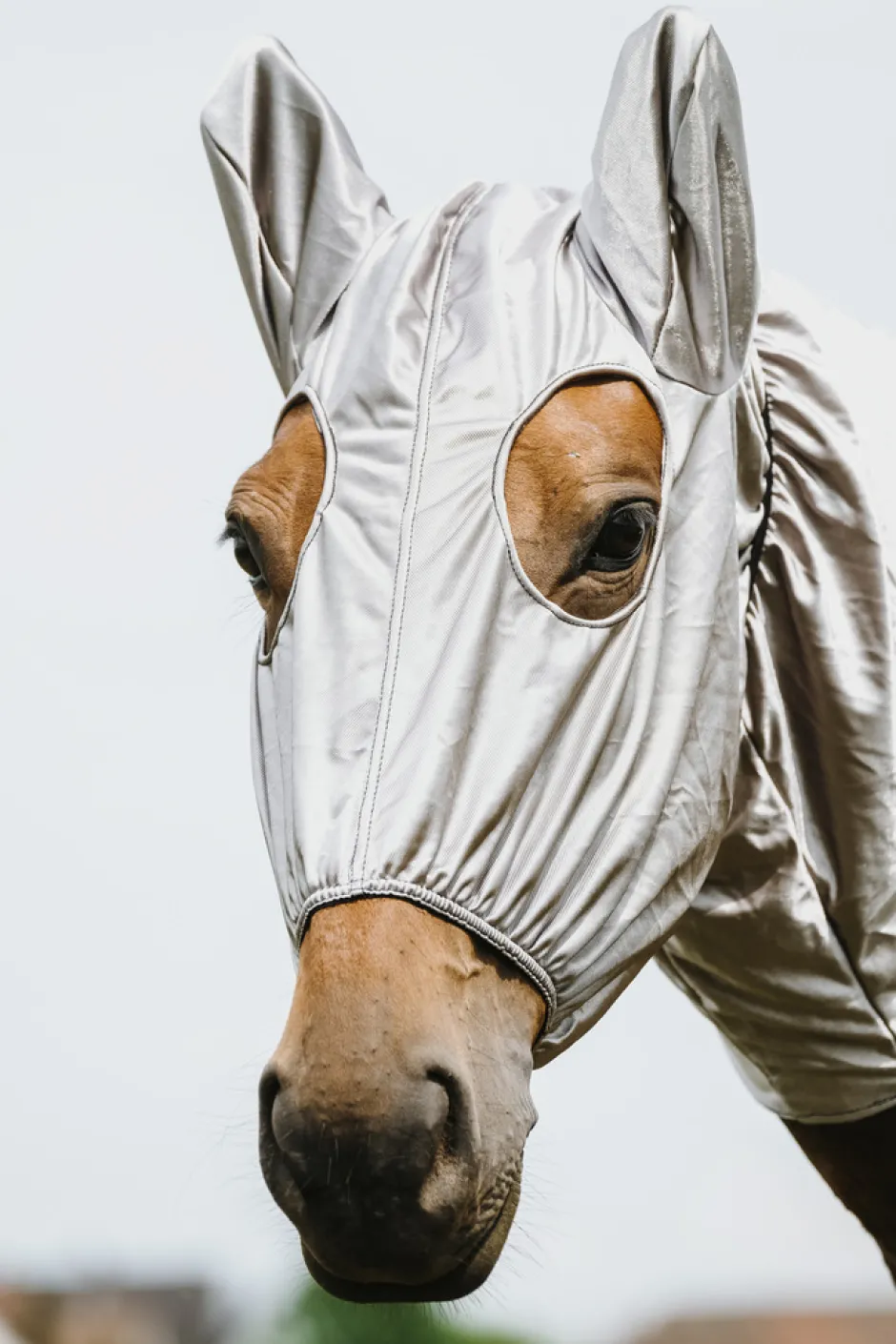 RIDING WORLD Ekzem-Schutzhaube