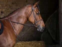 RIDING WORLD festes Martingal
