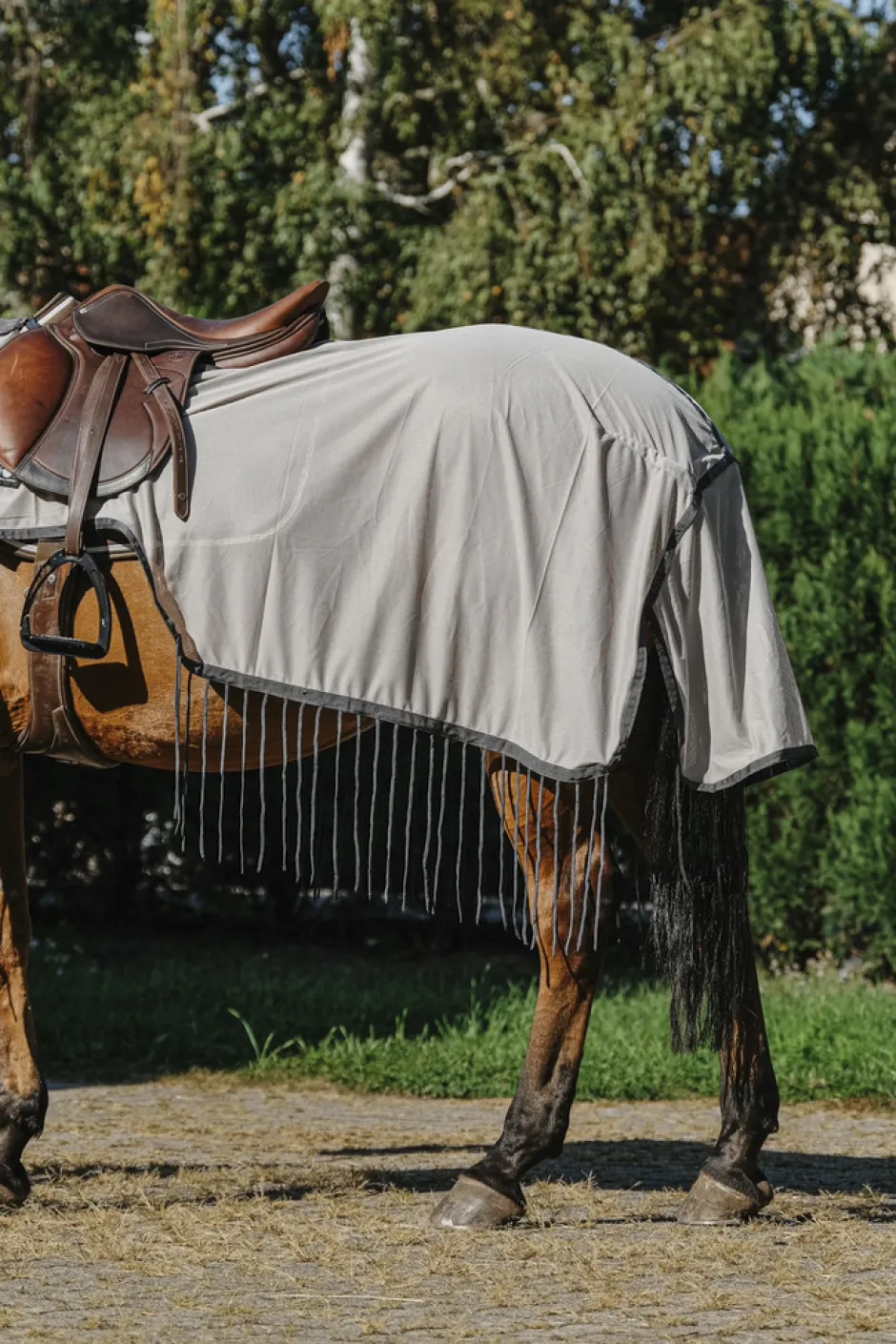 RIDING WORLD Fliegenschutz-Ausreitdecke