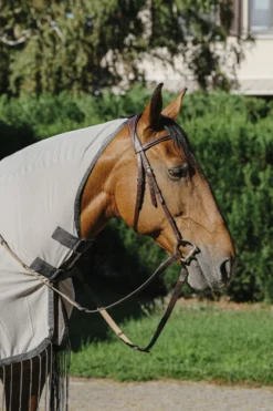 RIDING WORLD Fliegenschutz-Ausreitdecke