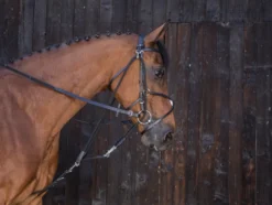RIDING WORLD Gogue mit Umlenkrollen
