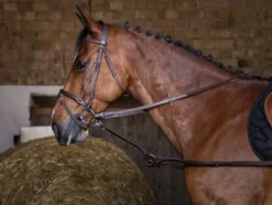 RIDING WORLD Gummiausbinder