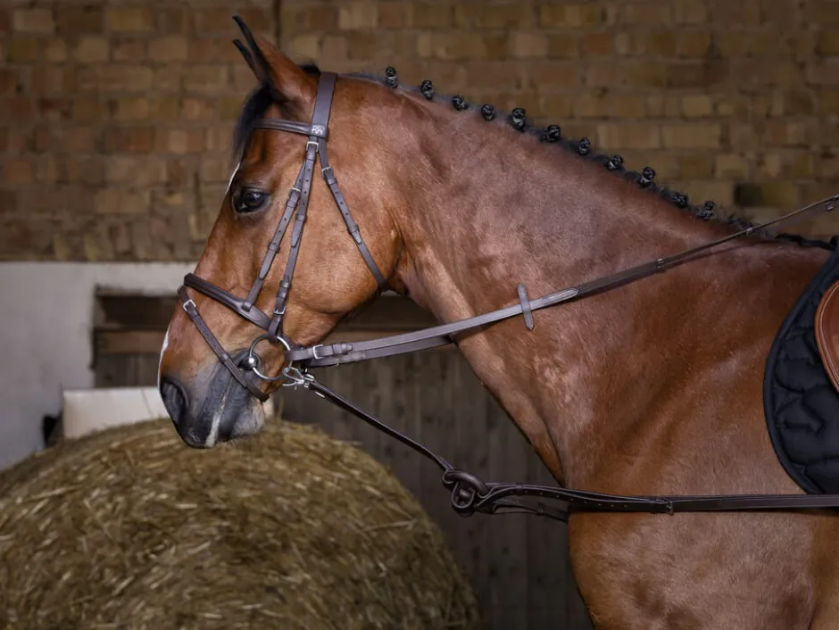 RIDING WORLD Gummiausbinder
