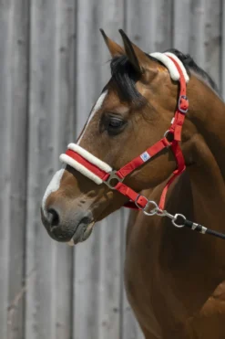 RIDING WORLD Halfter aus synthetischem Schaffell