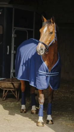 RIDING WORLD Komplettes Set
