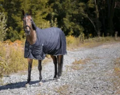 RIDING WORLD „Oxford wasserdichte Decke