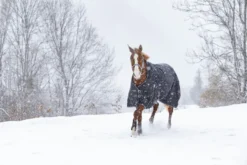 RIDING WORLD „Oxford wasserdichte Decke mit Polar Fleece Futter