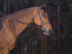 RIDING WORLD Ringmartingal