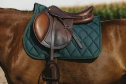 RIDING WORLD - School - Schabracken