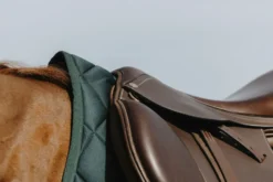 RIDING WORLD - School - Schabracken