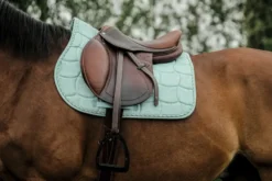 RIDING WORLD - Sunshine - Schabracken