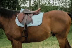 RIDING WORLD - Sunshine - Schabracken