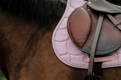 RIDING WORLD - Sunshine - Schabracken