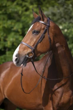RIDING WORLD Trensenzaum mit französischem Nasenriemen
