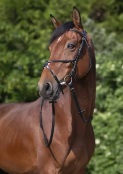 RIDING WORLD Trensenzaum mit mexikanischem Reithalfter