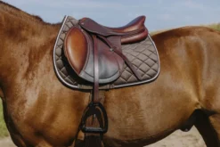 RIDING WORLD - Velours - Schabracken