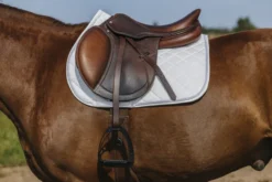 RIDING WORLD - Velours - Schabracken