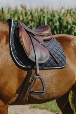 RIDING WORLD - Velours - Schabracken