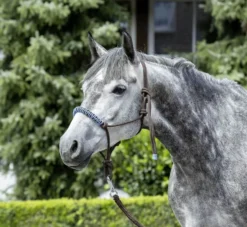 USG Knotenhalfter, zweifarbig, Glitzersteine