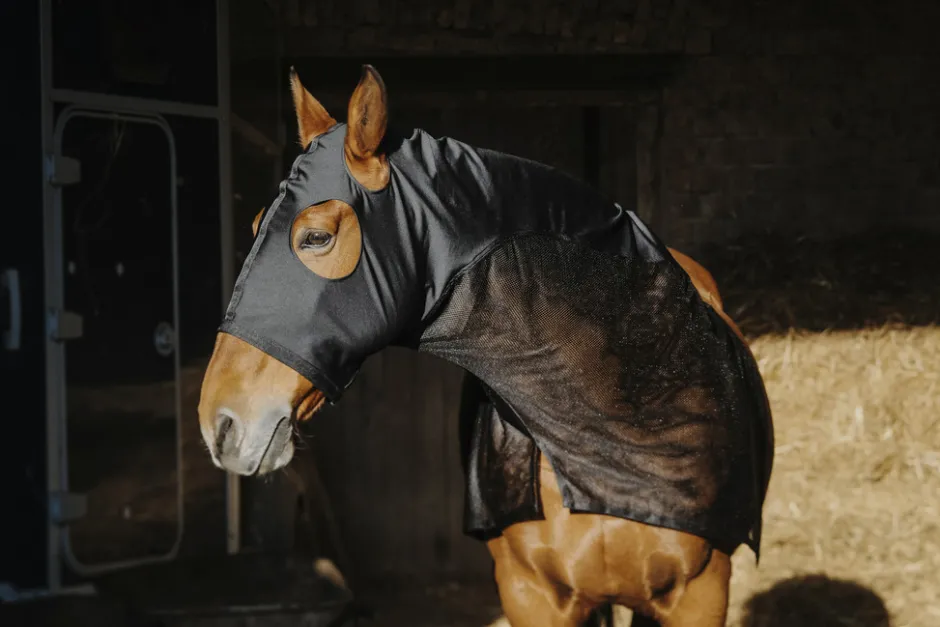 Vollschutz für den Hals EQUITHEME - Lycra/Mesh