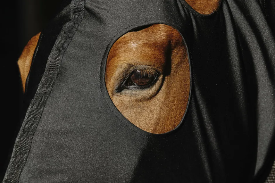 Vollschutz für den Hals EQUITHEME - Lycra/Mesh