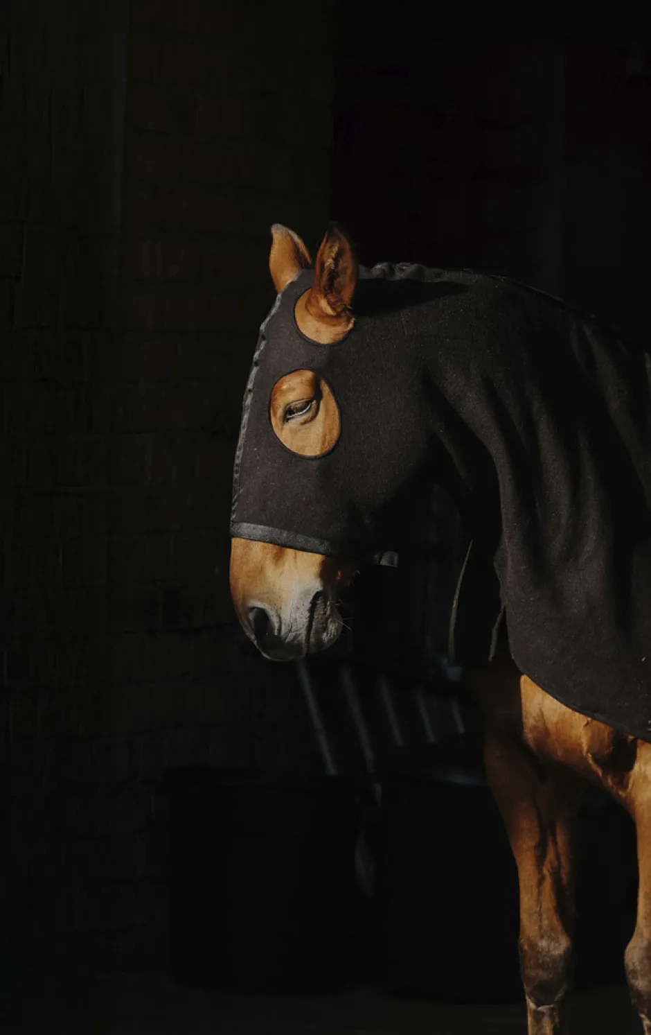 Vollschutz für den Hals EQUITHEME - Fleece