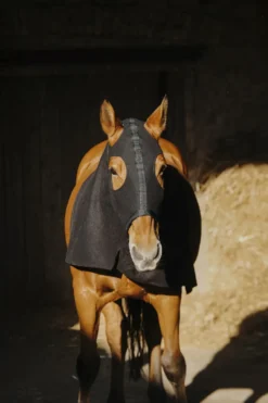 Vollschutz für den Hals EQUITHEME - Fleece