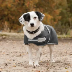 WALDHAUSEN COMFORT Hundedecke, 200 g