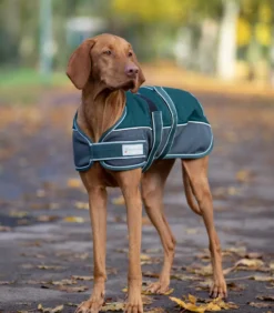 WALDHAUSEN COMFORT Hundedecke, 200 g