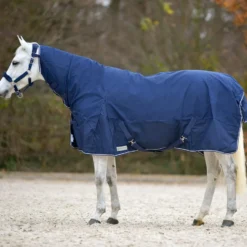 WALDHAUSEN COMFORT Regendecke mit Halsteil