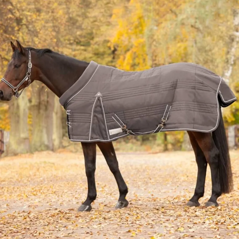 WALDHAUSEN COMFORT Stalldecke, 100 g