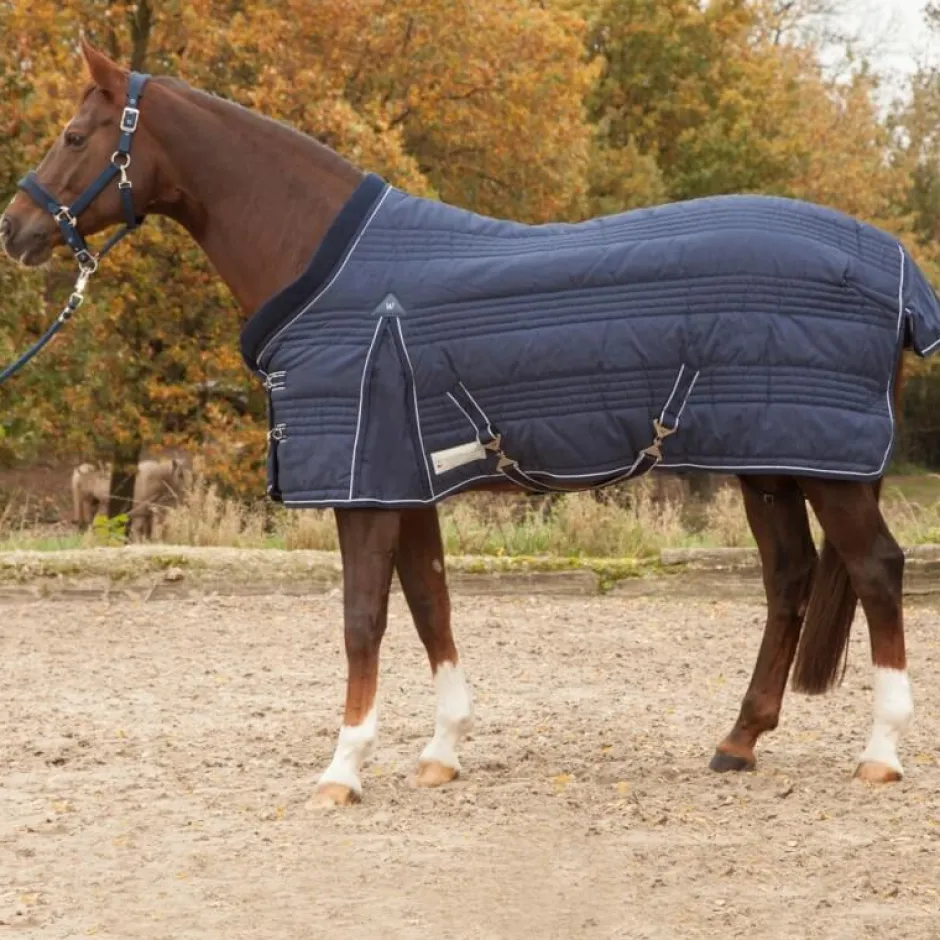 WALDHAUSEN COMFORT Stalldecke, 200 g