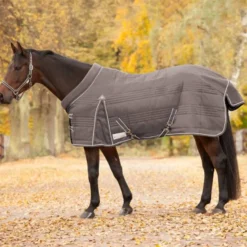 WALDHAUSEN COMFORT Stalldecke, 200 g