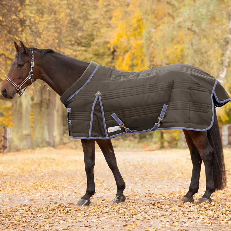 WALDHAUSEN COMFORT Stalldecke, 200 g