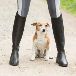 WALDHAUSEN ELT Reitstiefel Ascot, Weit