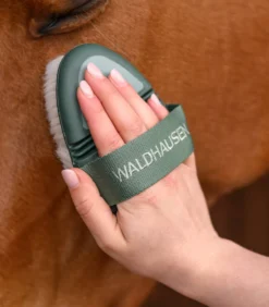 WALDHAUSEN Flex Glanzbürste