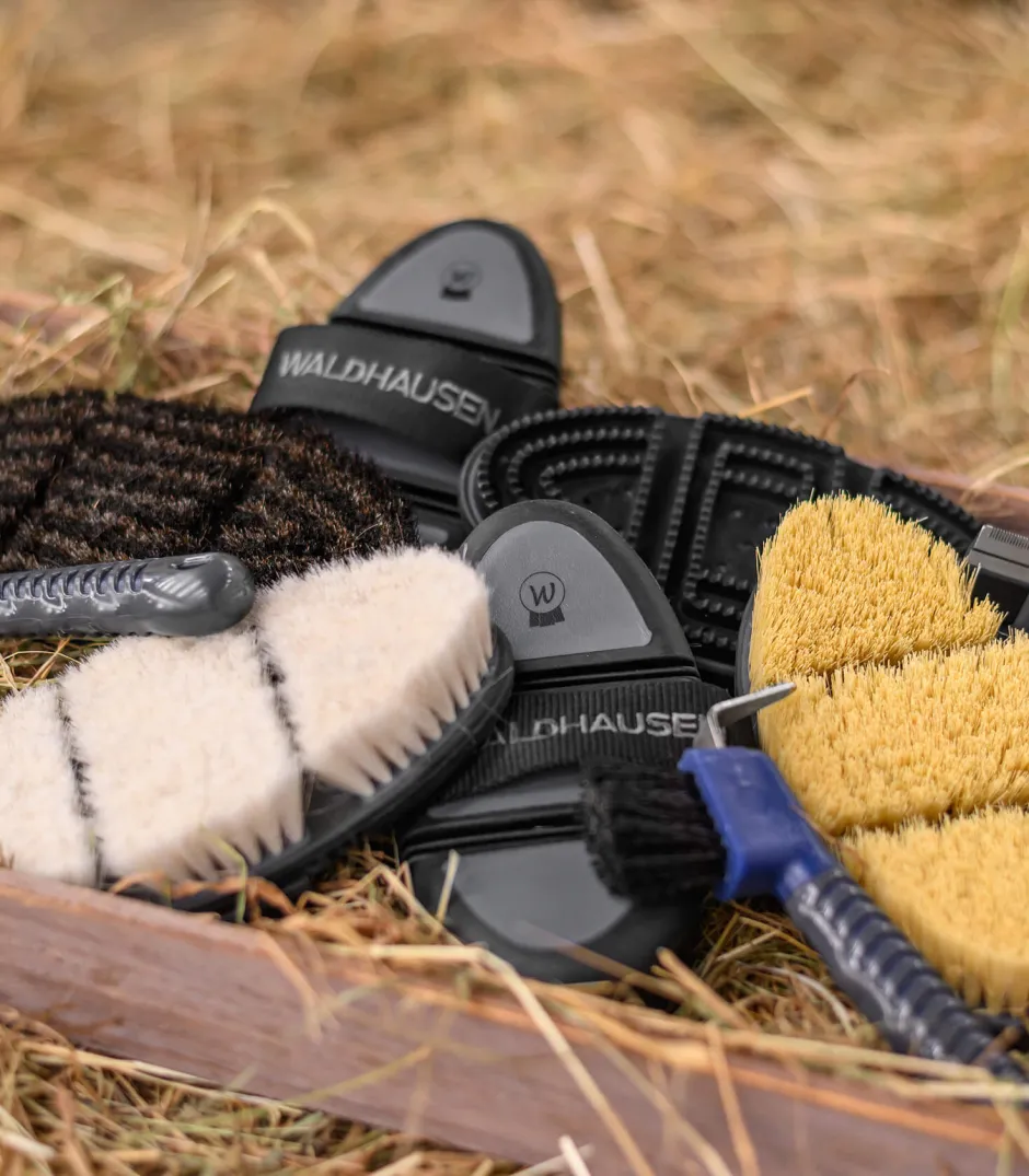 WALDHAUSEN Flex Glanzbürste