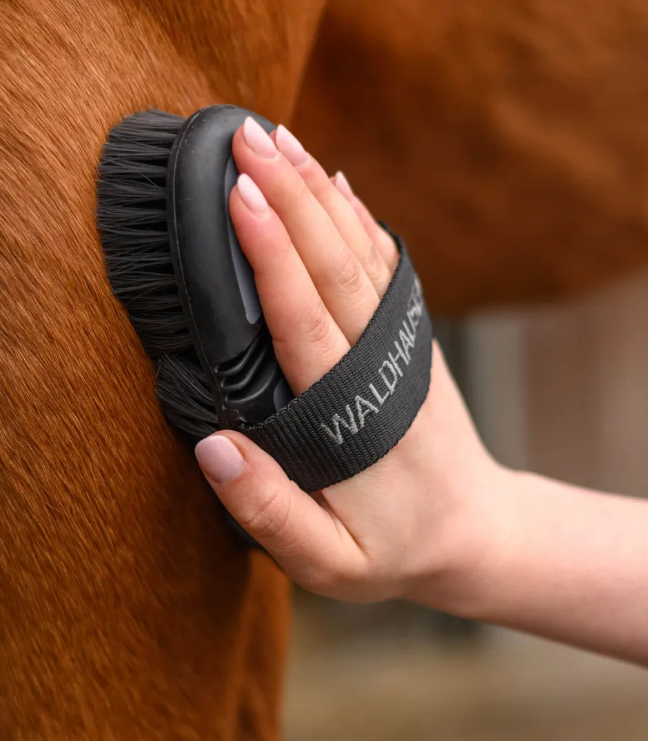WALDHAUSEN Flex Kardätsche
