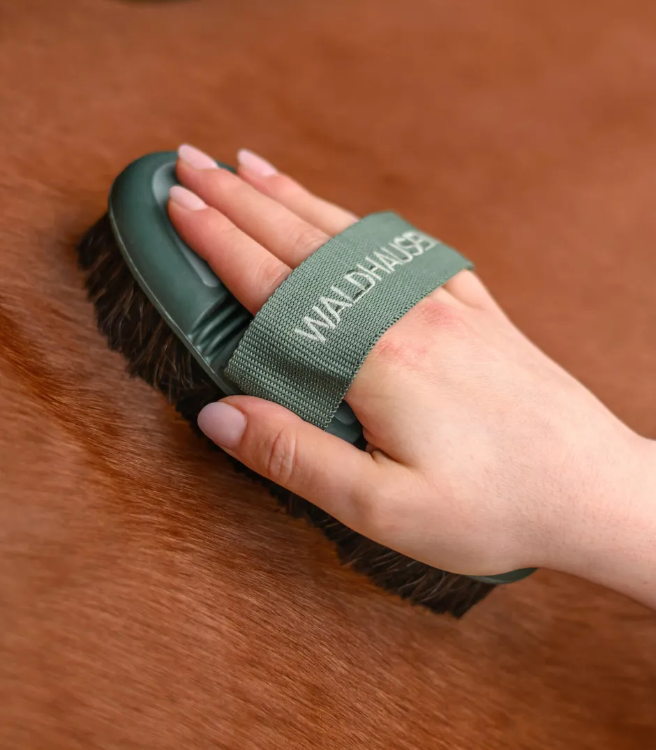 WALDHAUSEN Flex Kardätsche