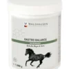 WALDHAUSEN Gastro Balance, 1 kg