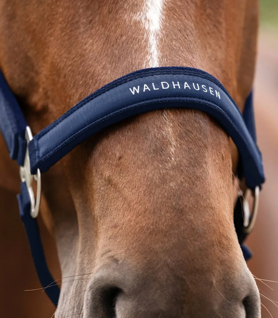 WALDHAUSEN Halfter Athletic