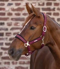 WALDHAUSEN Halfter Breath