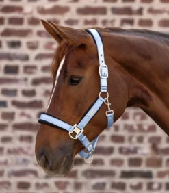 WALDHAUSEN Halfter Breath