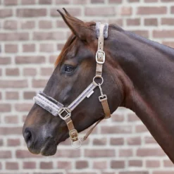 WALDHAUSEN Halfter Elegant