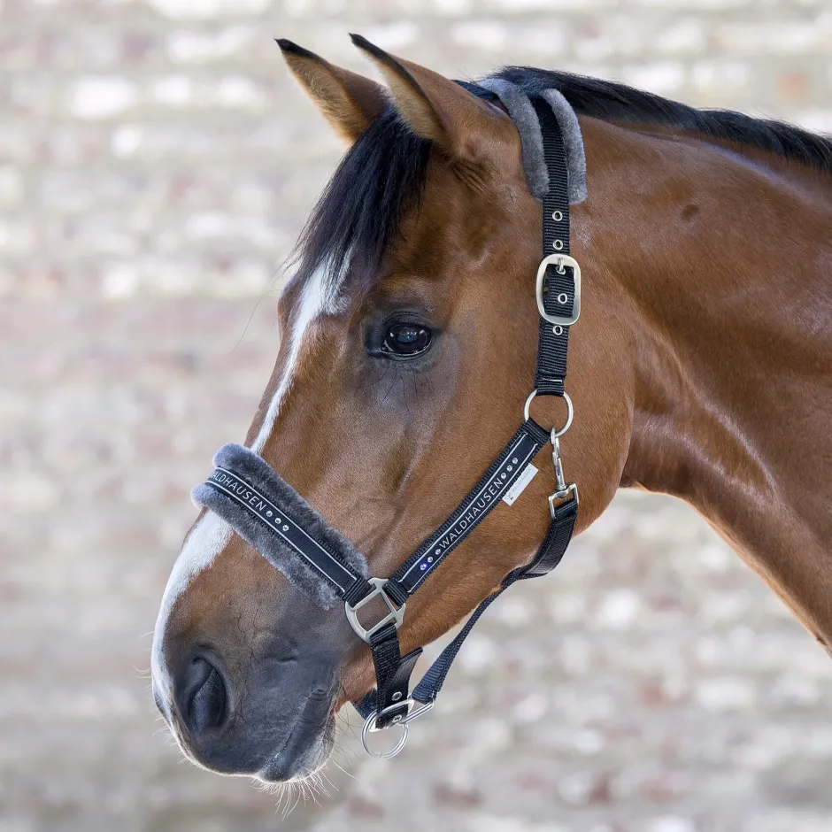 WALDHAUSEN Halfter Elegant
