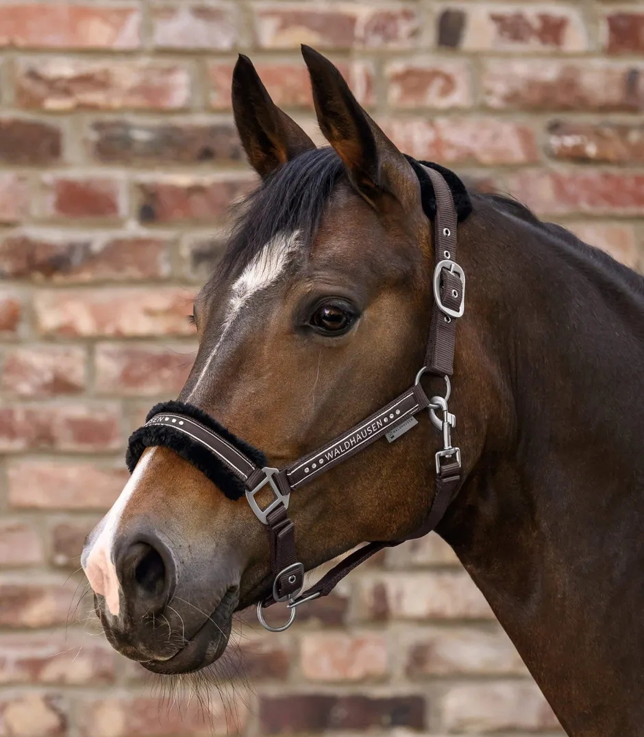 WALDHAUSEN Halfter Elegant