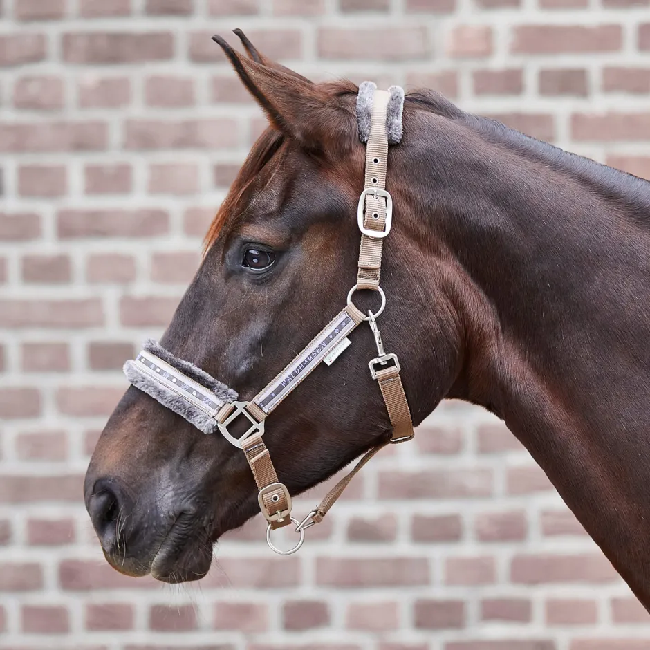 WALDHAUSEN Halfter Elegant