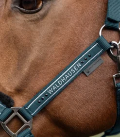 WALDHAUSEN Halfter Elegant